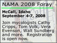 NAMA 2008